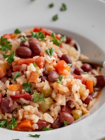 Bowl of red beans and rice with parsley on top (vegetarian jambalaya).