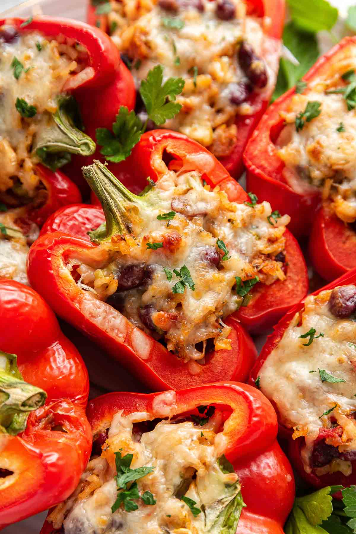Close up of vegetarian stuffed peppers in pan.